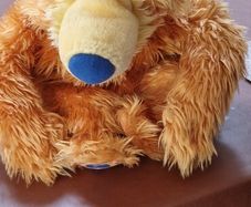 bear in the big blue house