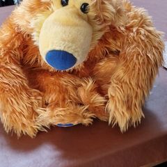 bear in the big blue house