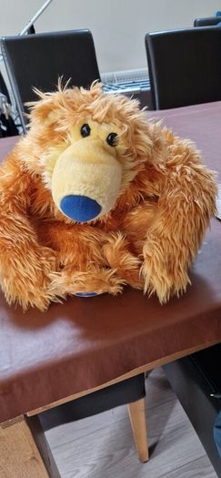 bear in the big blue house