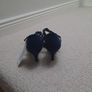 Brand New Navy Heels Image 4