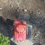 Honda hr194  lawnmower engine Image 2