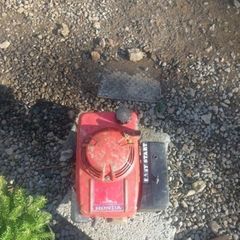 Honda HR194 mower engine