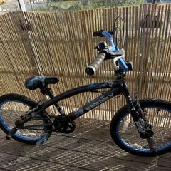 BMX hybrid theory