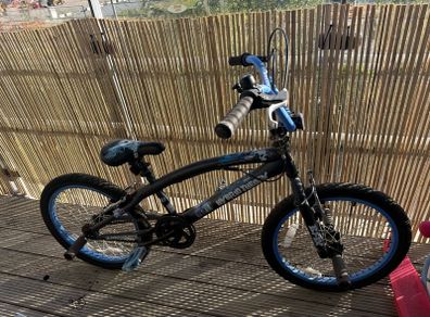 BMX hybrid theory