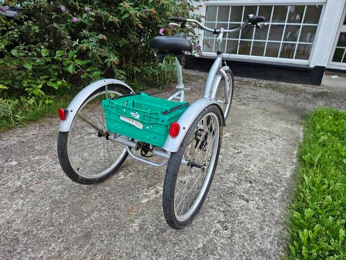 Ammacalo Free and Easy tricycle