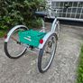 Ammacalo Free and Easy tricycle Image 2
