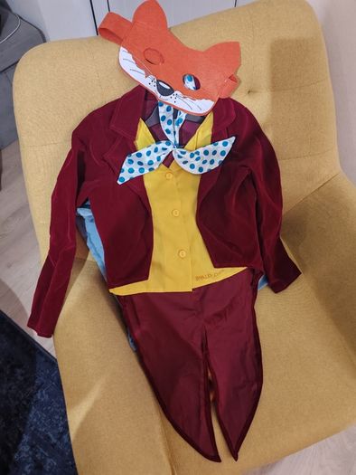 Halloween costumes  Mr Fox