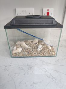 Fish tank