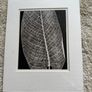 Pair of Habitat black and white prints Image 2