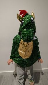 6-8 Years old Dragon kids costume