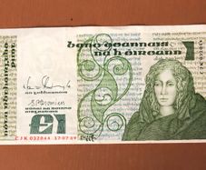 Irish one pound punt note