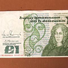 Irish one pound punt note
