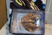 star trek eaglemoss nausicaan fighter