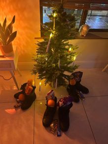 Christmas tree