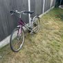 goldrush ladies bike Image 5