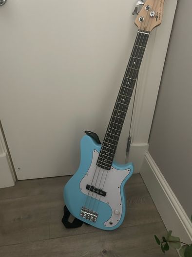 Bass guitar
