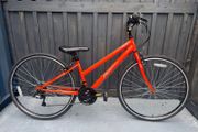 Brand New Ladies Hybrid Bikes on sale with free delivery