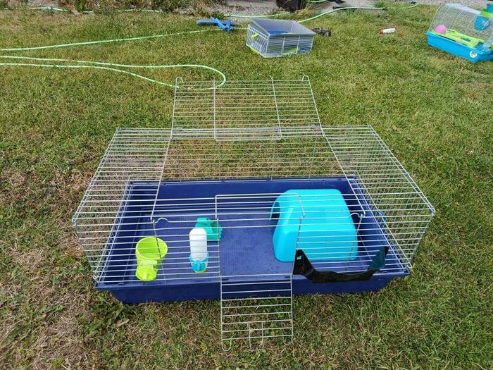 Guinea pig/ small rabbit cage