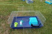 Guinea pig/ small rabbit cage