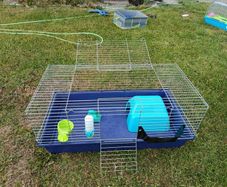 Guinea pig/ small rabbit cage