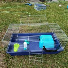 Guinea pig/ small rabbit cage