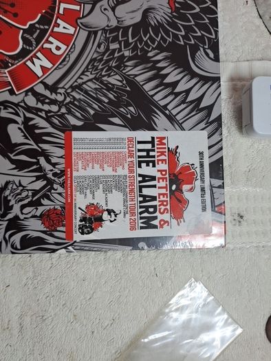 Vinyl The alarm Declaration.