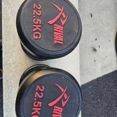 22.5kg dumbell paor