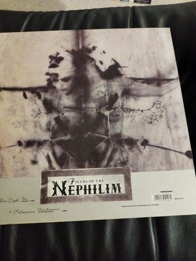 Fields of the Nephilim 4 x 12" lot
