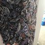 zara dress Image 6