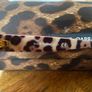 Genuine Dolce and Gabbana Red Leopard Print Sunglasses Image 4
