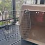 International Pet Carrier. Cream, Beige. Image 5