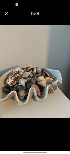 Sea decoration