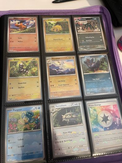 Pokemon Collection