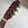 Guitar Image 5