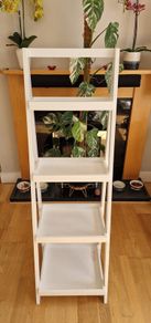 Ladder shelf