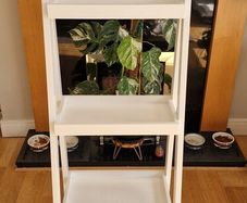 Ladder shelf