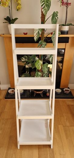 Ladder shelf