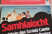 Secondary school book  Leaving cert Irish book