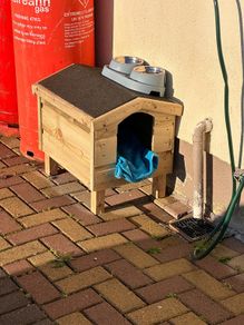cat house