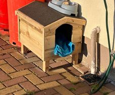 cat house
