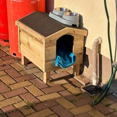 cat house