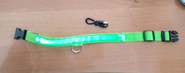 Glowing dog collar NEW