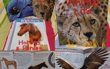 100 Facts Books By Miles Kelly