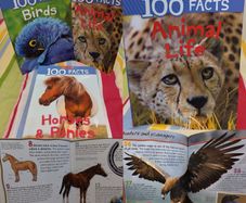 100 Facts Books By Miles Kelly