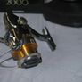 Shimano Stella 2000 Image 6