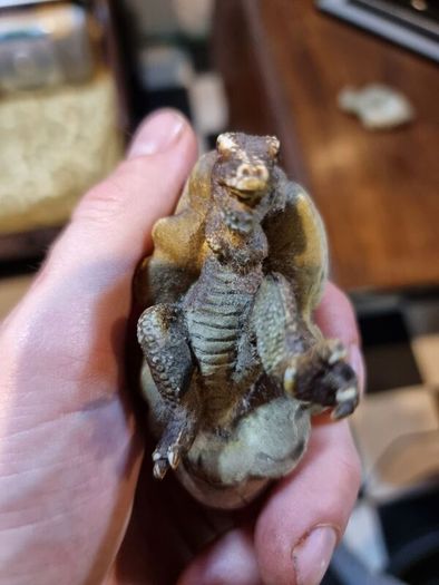 Hatching dinosaur toy figurine