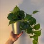 artificial plant vase (x2) Image 3