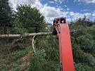 O' Toole Tree Services Image 2
