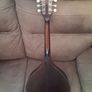 Mandola Image 6
