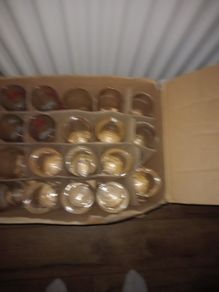 point glasses